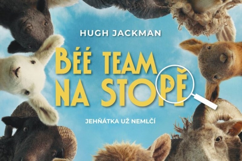 Béé team na stopě